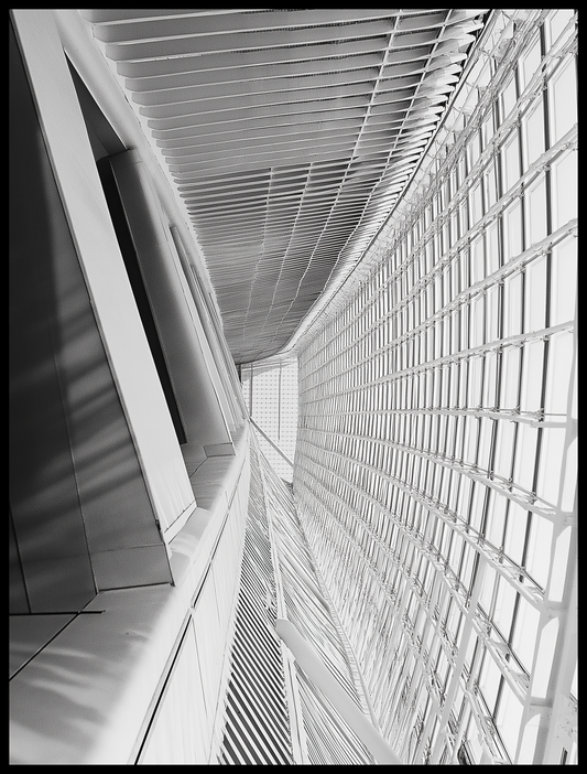 This black-and-white photo shows the unique design of the City of Arts and Sciences in Valencia, Spain. The focus is on the curved lines and modern details of the building. Light and shadows create a dramatic effect, making the structure look even more striking and futuristic.