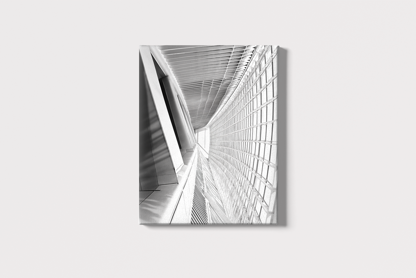 This black-and-white photo shows the unique design of the City of Arts and Sciences in Valencia, Spain. The focus is on the curved lines and modern details of the building. Light and shadows create a dramatic effect, making the structure look even more striking and futuristic.