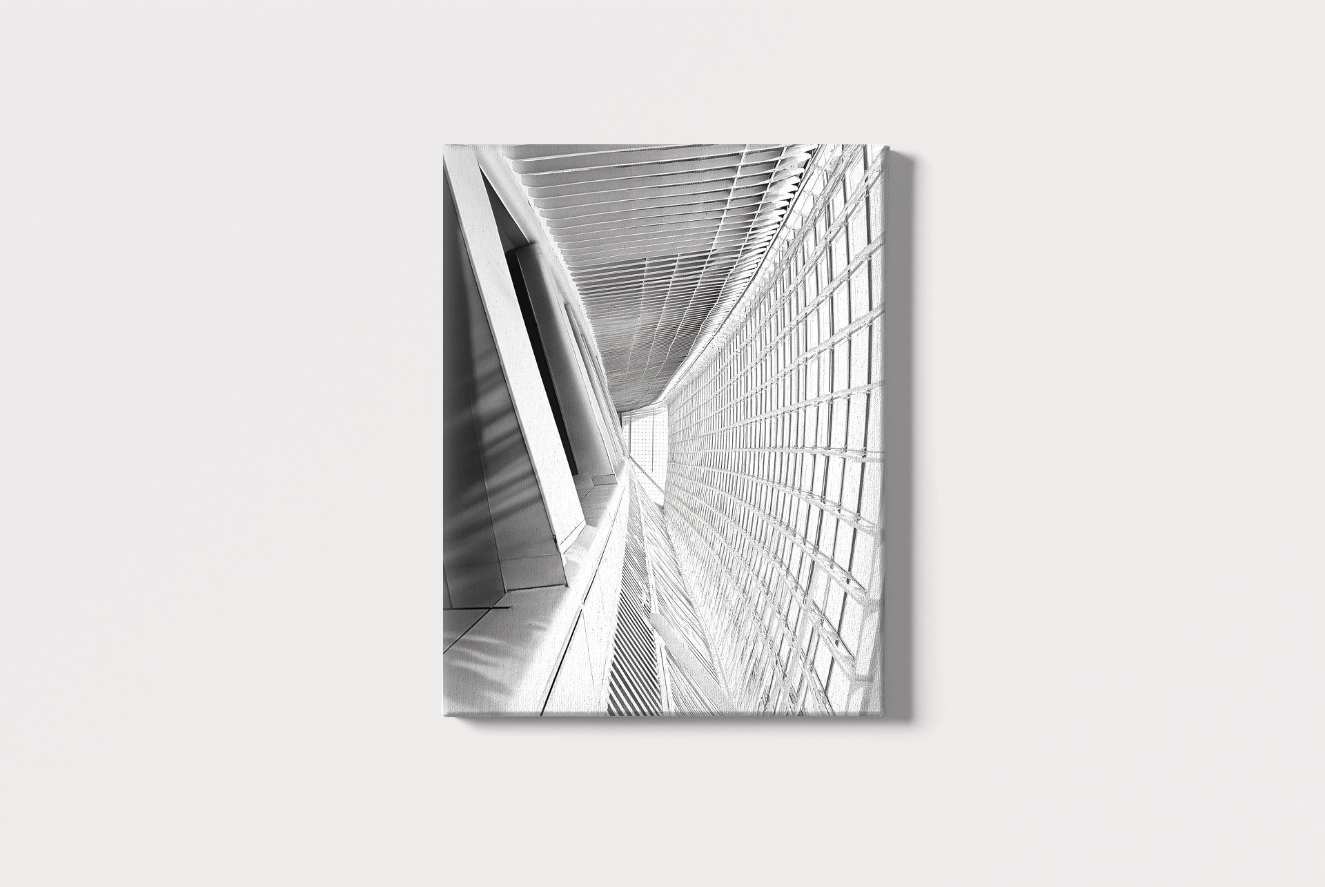 This black-and-white photo shows the unique design of the City of Arts and Sciences in Valencia, Spain. The focus is on the curved lines and modern details of the building. Light and shadows create a dramatic effect, making the structure look even more striking and futuristic.